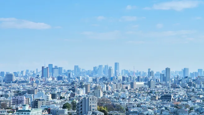 A panoramic view of the cityscape, with skyscrapers and residential areas.