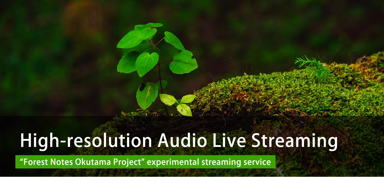 High-resolution Audio Live Streaming. ForestNotes okutama project experimental streaming service.