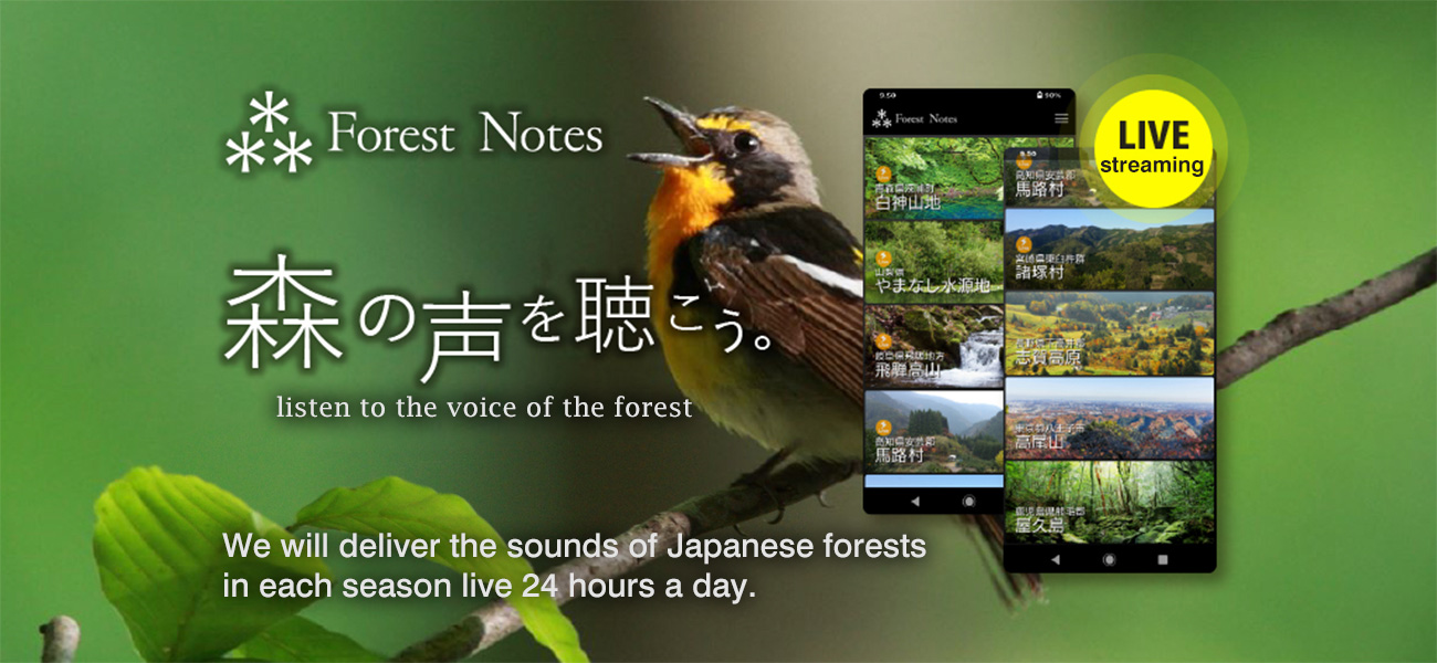 ForestNotes. LIVE streaming. listen to the voice of the forest. We will deliver the sounds of Japanese forests in each season live 24 hours a day.