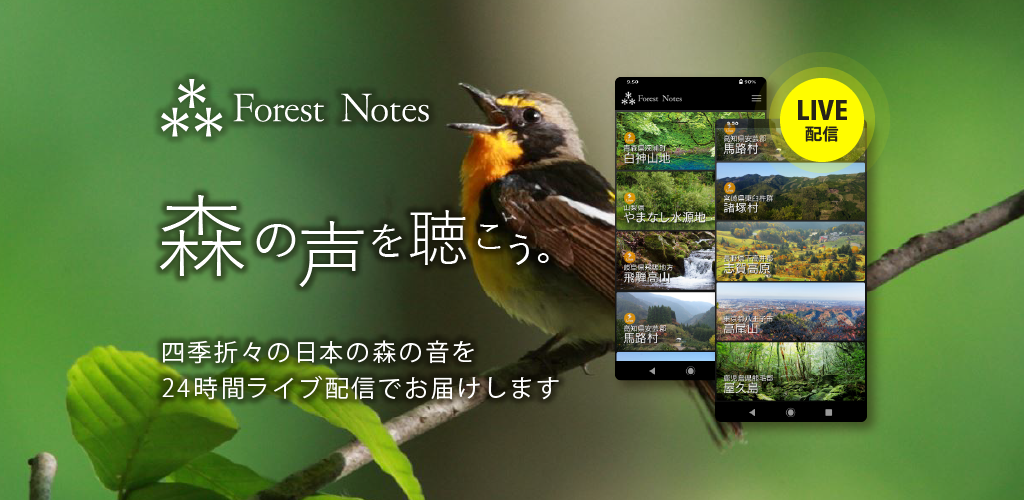 The Forest Notes App For Smartphones And Tablets Is Now Available Jvckenwood Design Corporation