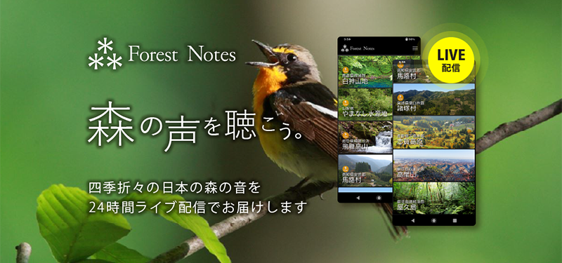 ForestNotes 森の声を聴こう。 四季折々の日本の森の音を24時間ライブ配信でお届けします。