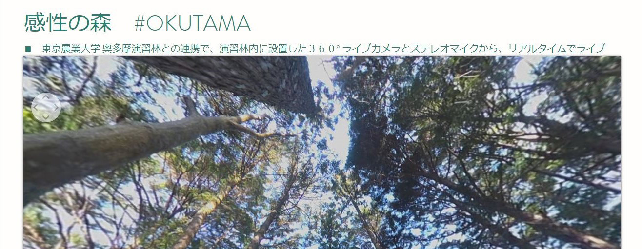 感性の森 #OKTAMA
